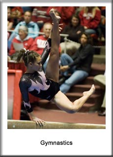 Gymnastics Photo's