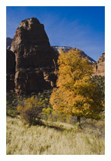 Zion NP