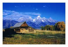 Mormon Row Tetons