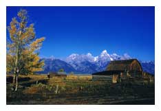 Teton Cabin