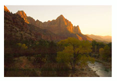 Zions National Park Sunset